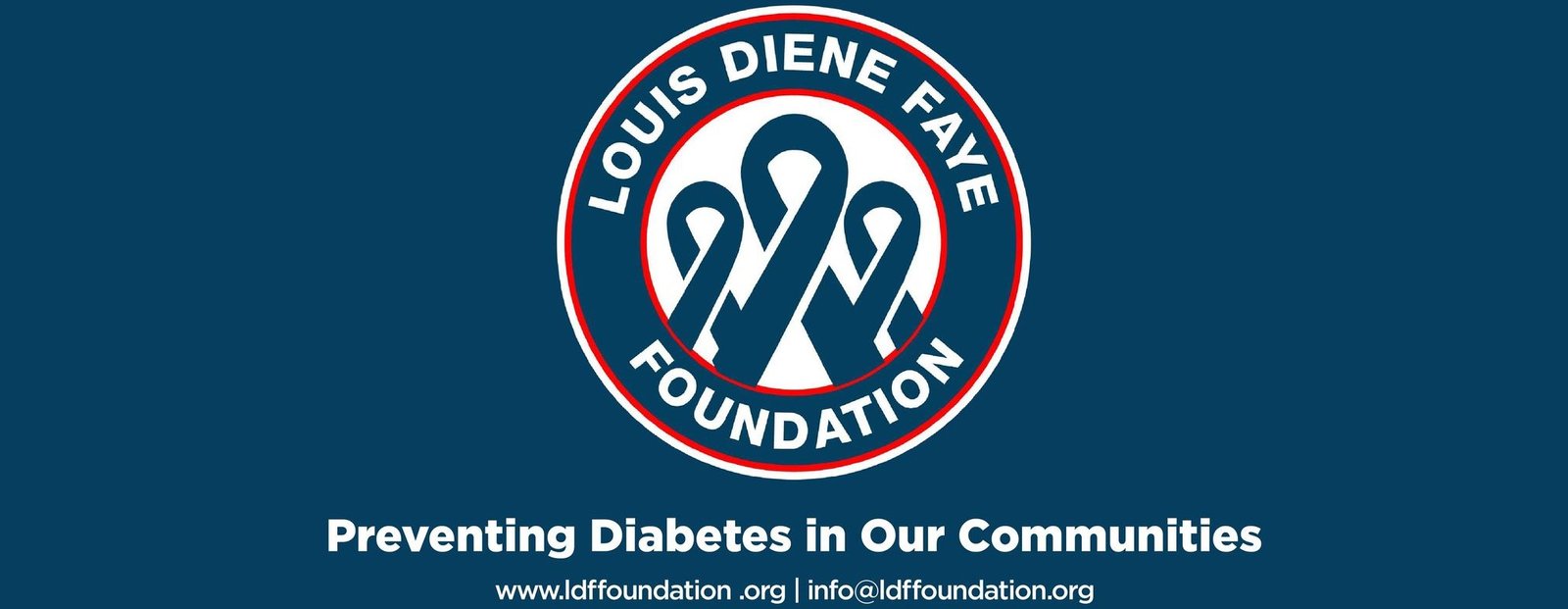 LDFF WEBSITE LOGO - PREVENTING DIABETES LOGO - PREVENTING DIABETES IN OUR COMMUNITIES (2)